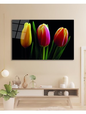 idealizbiz Lale Çiçeği Cam Tablo, Ev Ofis Salon Hediyelik Duvar Dekoru