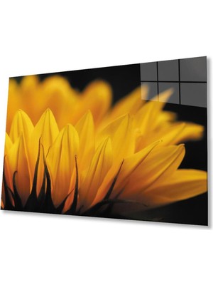 idealizbiz Ay Çiçeği Günebakan 4mm Dayanıklı Cam Tablo Temperli Cam , Sunflower Glass Wall Art