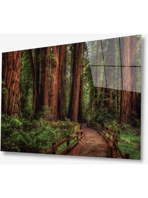 idealizbiz Doğa Cam Tablo 4mm Dayanıklı Temperli Cam