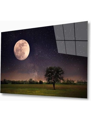 idealizbiz Doğa Cam Tablo 4mm Dayanıklı Temperli Cam