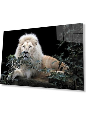 idealizbiz Aslan Cam Tablo 4mm Dayanıklı Temperli Cam