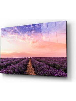 idealizbiz Doğa Cam Tablo 4mm Dayanıklı Temperli Cam