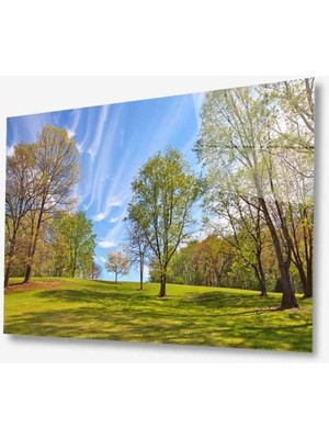 idealizbiz Doğa Cam Tablo 4mm Dayanıklı Temperli Cam