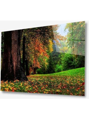 idealizbiz Doğa Cam Tablo 4mm Dayanıklı Temperli Cam