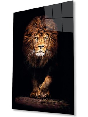 idealizbiz Aslan Cam Tablo 4mm Dayanıklı Temperli Cam