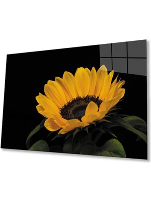idealizbiz Ay Çiçeği Günebakan 4mm Dayanıklı Cam Tablo Temperli Cam , Sunflower Glass Wall Art