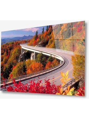 idealizbiz Doğa Cam Tablo 4mm Dayanıklı Temperli Cam