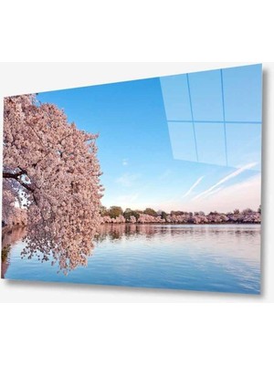 idealizbiz Doğa Cam Tablo 4mm Dayanıklı Temperli Cam