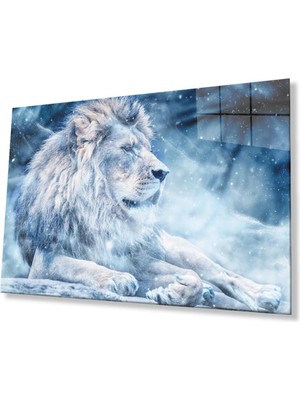 idealizbiz Aslan Cam Tablo 4mm Dayanıklı Temperli Cam