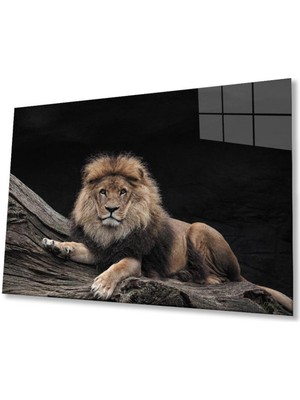 idealizbiz Aslan Cam Tablo