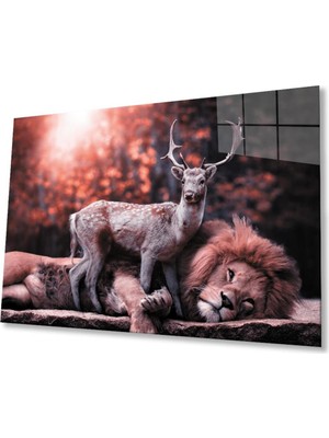 idealizbiz Aslan Cam Tablo