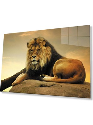 idealizbiz Aslan Cam Tablo 4mm Dayanıklı Temperli Cam