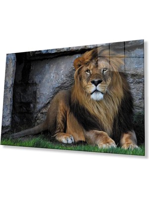 idealizbiz Aslan Cam Tablo 4mm Dayanıklı Temperli Cam
