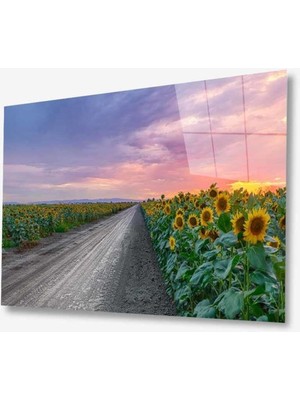 idealizbiz Doğa Cam Tablo 4mm Dayanıklı Temperli Cam