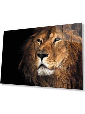 idealizbiz Aslan Cam Tablo 4mm Dayanıklı Temperli Cam
