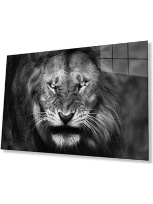idealizbiz Aslan Cam Tablo 4mm Dayanıklı Temperli Cam