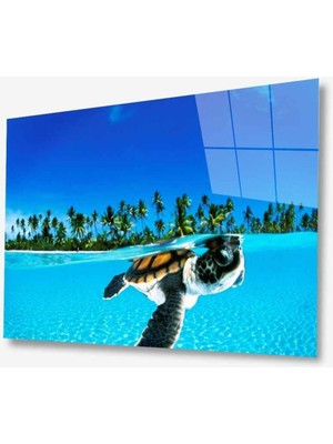 idealizbiz Manzara Doğa Cam Tablo 4mm Dayanıklı Temperli Cam
