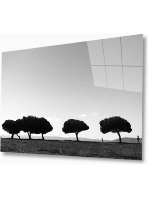 idealizbiz Doğa Cam Tablo 4mm Dayanıklı Temperli Cam