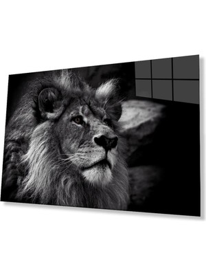 idealizbiz Aslan Cam Tablo 4mm Dayanıklı Temperli Cam