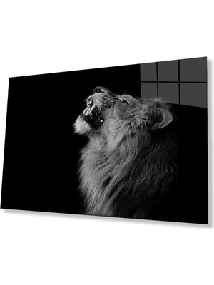 idealizbiz Aslan Cam Tablo 4mm Dayanıklı Temperli Cam
