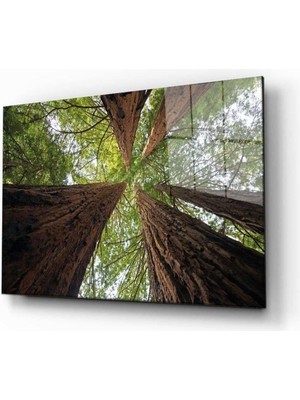 idealizbiz Doğa Temperli Cam Tablo