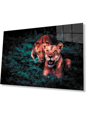 idealizbiz Aslan Cam Tablo 4mm Dayanıklı Temperli Cam