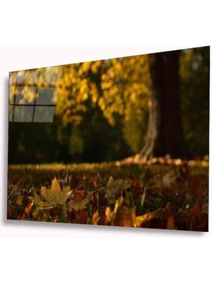 idealizbiz Sonbahar Cam Tablo 4mm Dayanıklı Temperli Cam