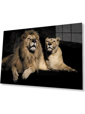 idealizbiz Aslan Cam Tablo 4mm Dayanıklı Temperli Cam