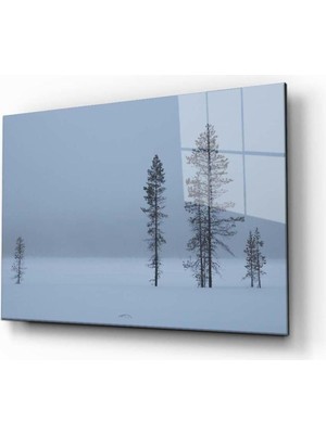 idealizbiz Doğa Temperli Cam Tablo