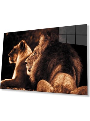 idealizbiz Aslan Cam Tablo 4mm Dayanıklı Temperli Cam