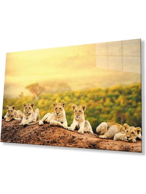 idealizbiz Aslan Cam Tablo 4mm Dayanıklı Temperli Cam