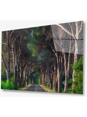 idealizbiz Manzara Doğa Cam Tablo 4mm Dayanıklı Temperli Cam