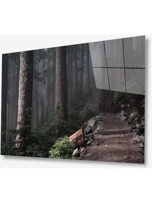 idealizbiz Doğa Cam Tablo 4mm Dayanıklı Temperli Cam