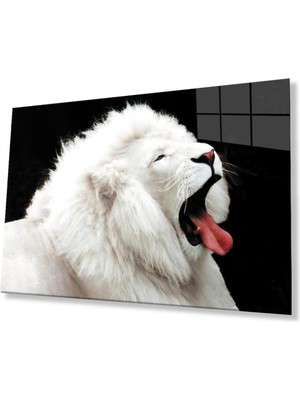 idealizbiz Aslan Cam Tablo 4mm Dayanıklı Temperli Cam