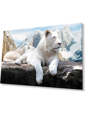 idealizbiz Aslan Cam Tablo 4mm Dayanıklı Temperli Cam