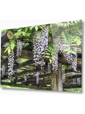 idealizbiz Doğa Cam Tablo 4mm Dayanıklı Temperli Cam