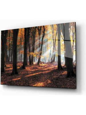 idealizbiz Doğa Temperli Cam Tablo