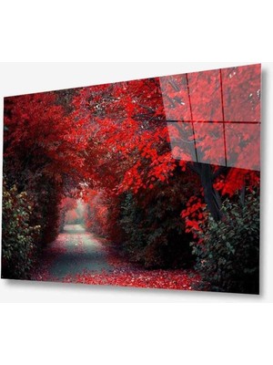 idealizbiz Doğa Cam Tablo 4mm Dayanıklı Temperli Cam