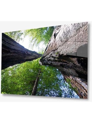 idealizbiz Doğa Cam Tablo 4mm Dayanıklı Temperli Cam