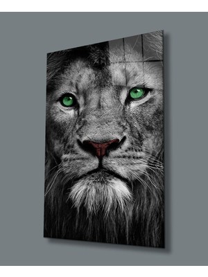 idealizbiz Aslan Cam Tablo 4mm Dayanıklı Temperli Cam