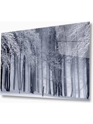 idealizbiz Doğa Cam Tablo 4mm Dayanıklı Temperli Cam