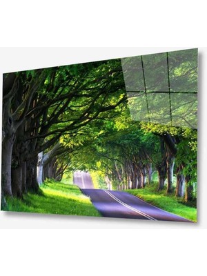 idealizbiz Doğa Cam Tablo 4mm Dayanıklı Temperli Cam