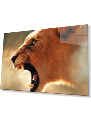 idealizbiz Aslan Cam Tablo 4mm Dayanıklı Temperli Cam