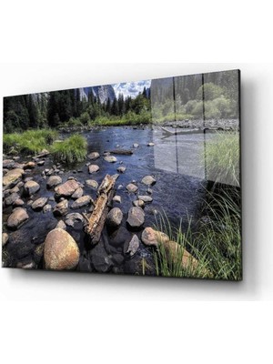 idealizbiz Doğa Temperli Cam Tablo