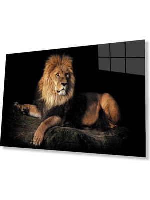 idealizbiz Aslan Cam Tablo 4mm Dayanıklı Temperli Cam