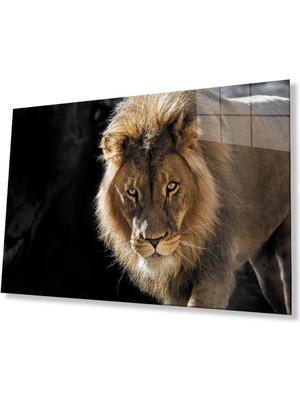 idealizbiz Aslan Cam Tablo 4mm Dayanıklı Temperli Cam