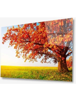 idealizbiz Doğa Cam Tablo 4mm Dayanıklı Temperli Cam