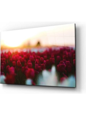 idealizbiz Doğa Cam Tablo 4mm Dayanıklı Temperli Cam