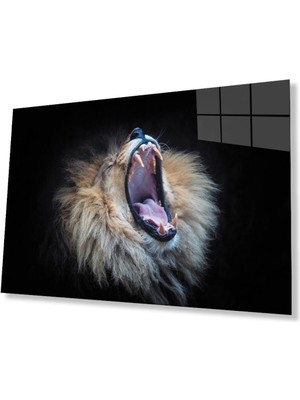 idealizbiz Aslan Cam Tablo 4mm Dayanıklı Temperli Cam