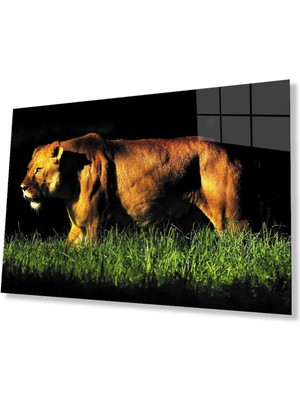 idealizbiz Aslan Cam Tablo 4mm Dayanıklı Temperli Cam